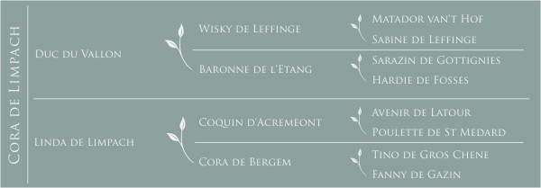 Cora de Limpach Pédigré Cora de Limpach
